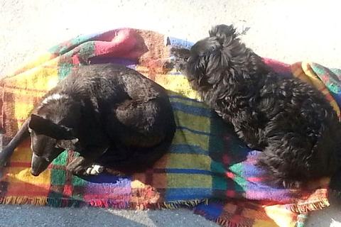 Noir e Nerina insieme!